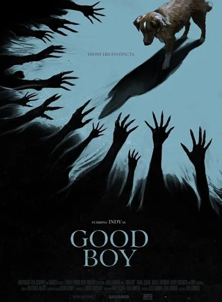 دانلود فیلم پسر خوب | Good Boy