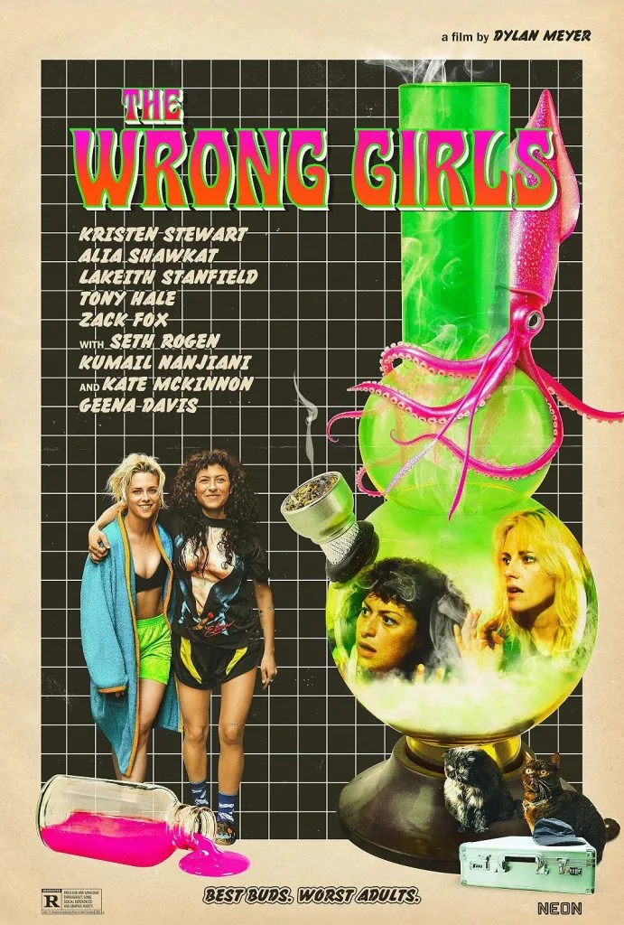 دانلود فیلم دختران اشتباهی | The Wrong Girls
